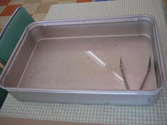 メロン食べ放題(使用後)